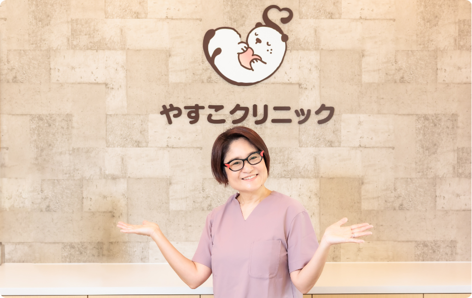 公式案内画像