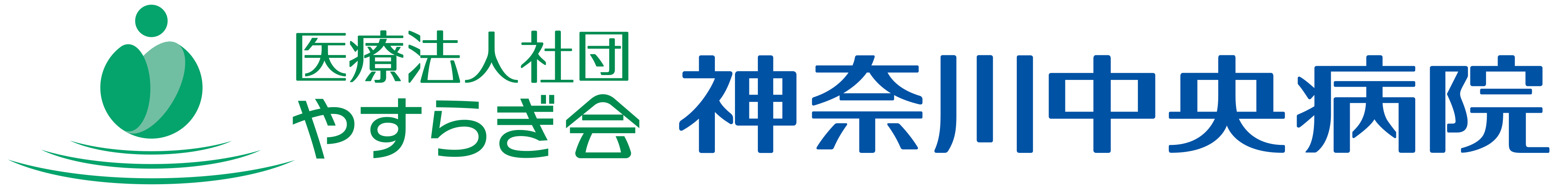 神奈川中央病院