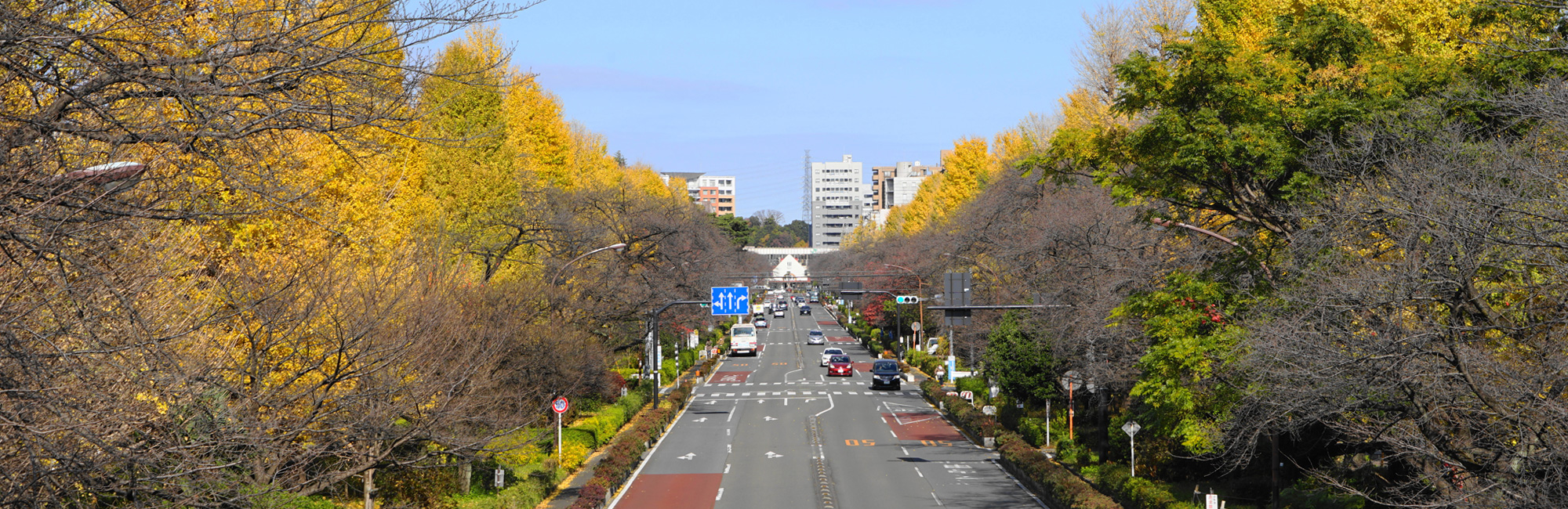 国立駅前やすらいクリニック の写真