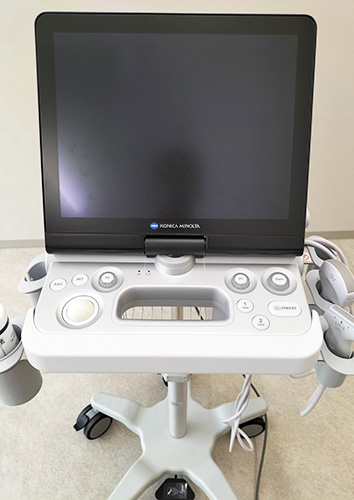 公式案内画像