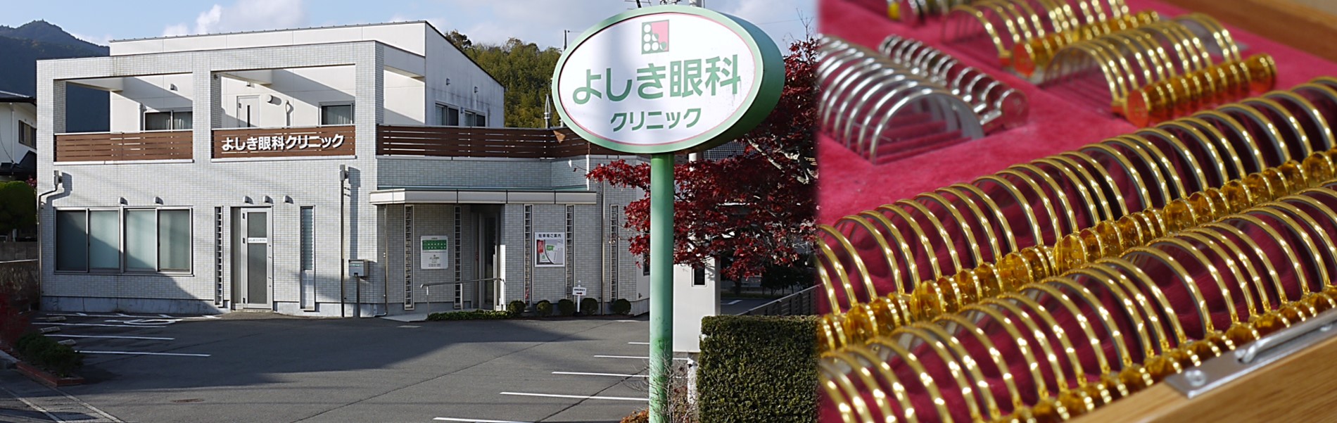 公式案内画像
