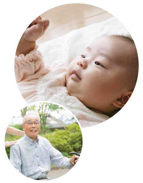 公式案内画像